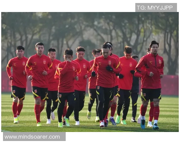 中国足球明星因违法行为被判刑的详细名单及事件回顾